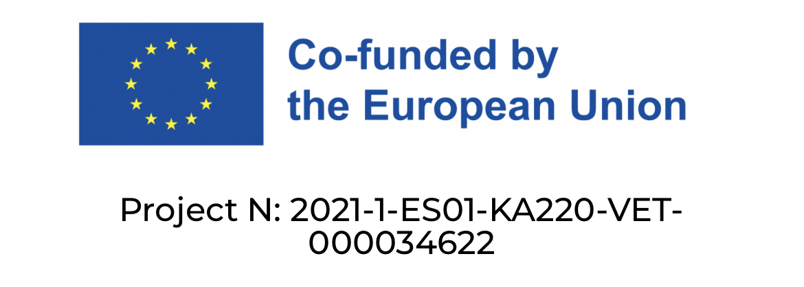 Co-funded by the European union